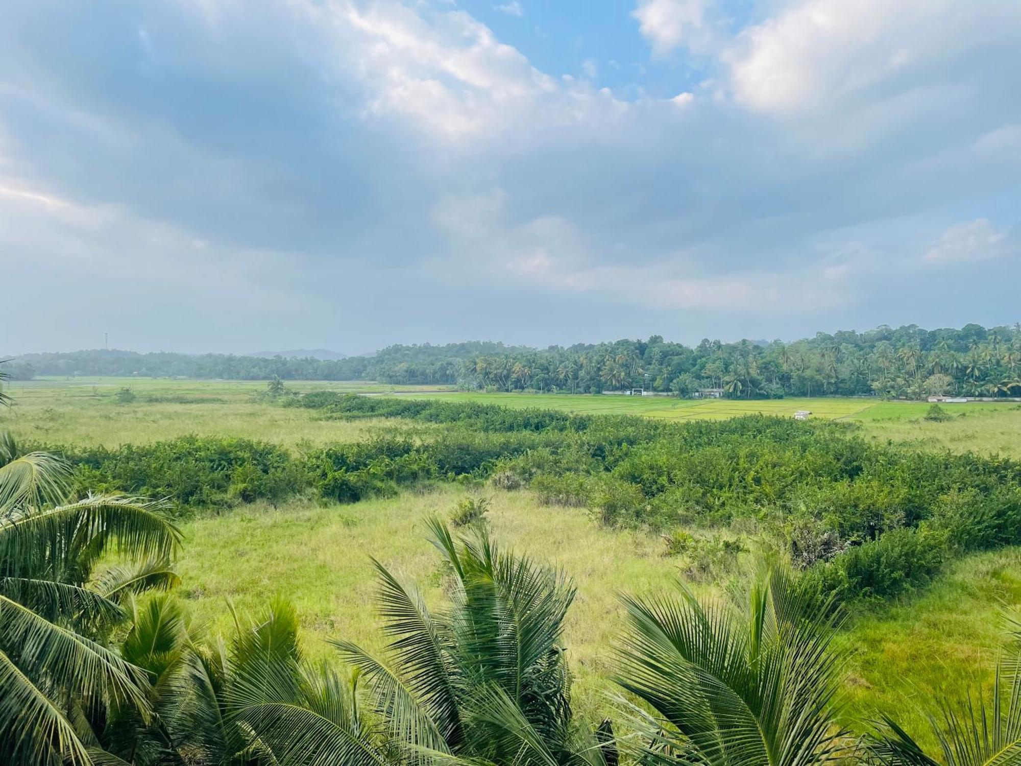 Island House Hotel Dikwella Ngoại thất bức ảnh