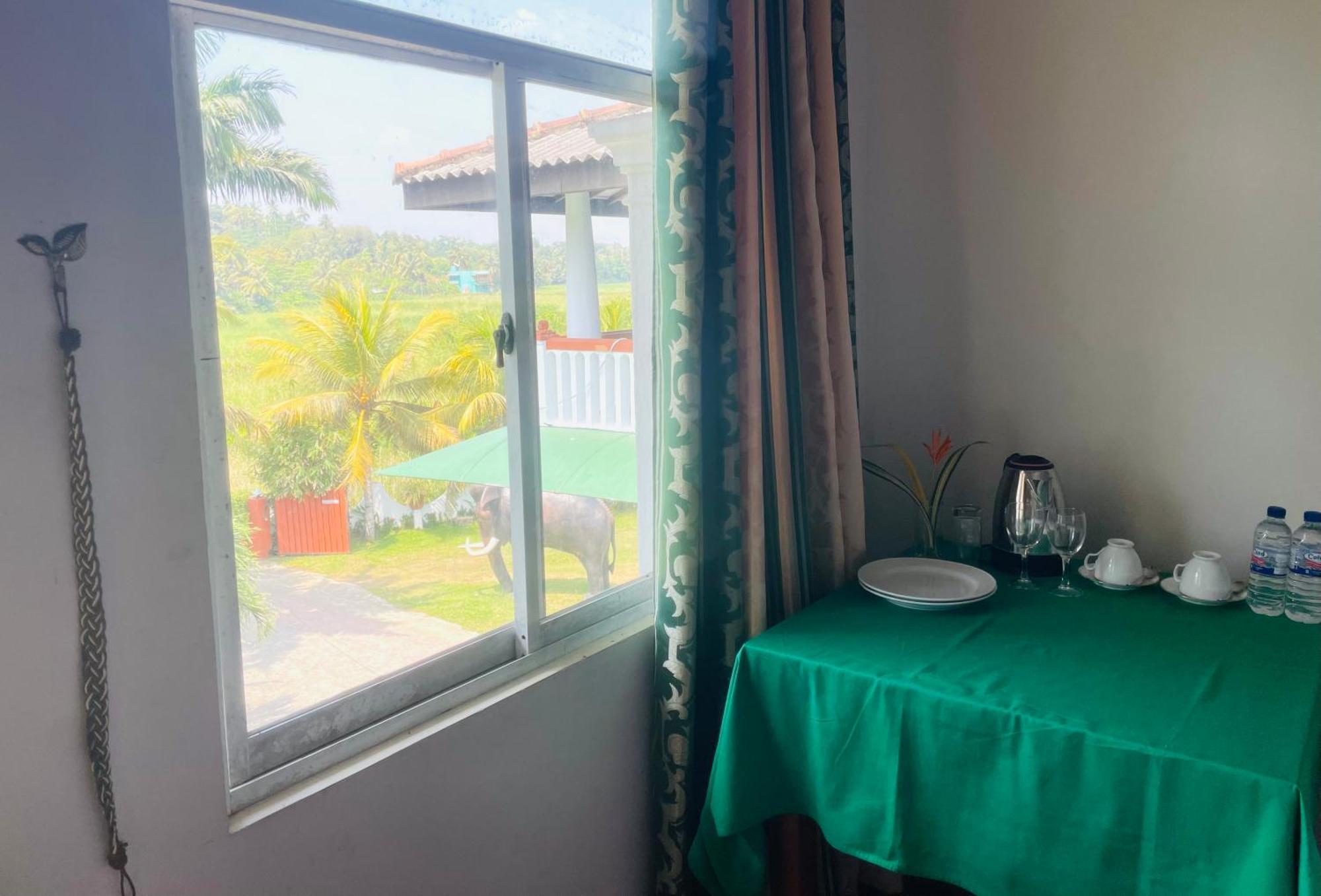 Island House Hotel Dikwella Ngoại thất bức ảnh