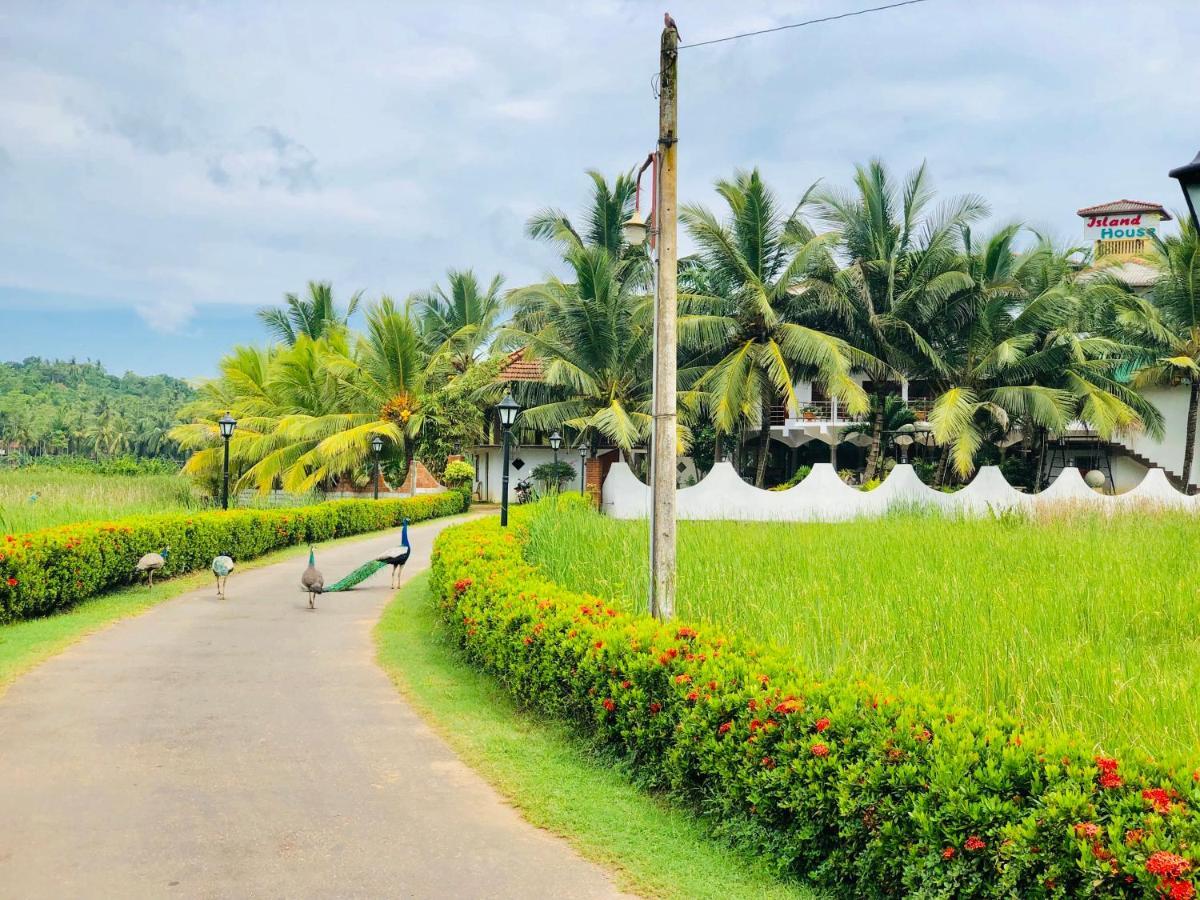 Island House Hotel Dikwella Ngoại thất bức ảnh